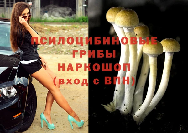 марки nbome Карпинск