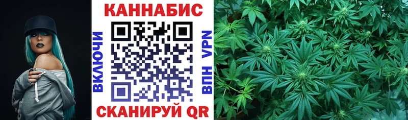 Купить где  Бабушкин  Канабис SATIVA & INDICA 